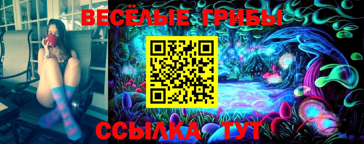 Галлюциногенные грибы Psilocybine cubensis  Вход с VPN  Сегежа 