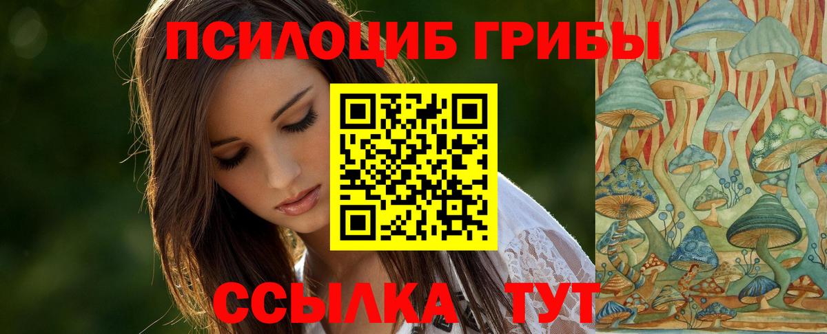 Псилоцибиновые грибы Psilocybe Сегежа